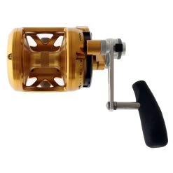 PENN International 12VISX 2-Speed Game Reel Gold -Hot Sale Fishing Store 98932 6 n 1
