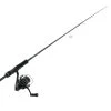 Shimano Sustain 2500FI HG Dialuna S86ML Freshwater Spinning Combo 8ft 6in PE0.6-1.5 2pc -Hot Sale Fishing Store bundledsa2500hgfiand18dlns86ls 2 1