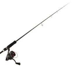 Shimano Stradic CI4+ 2500 HG FB Salty Advance Eging S83ML Squid Combo 8ft 3in 0.4-1kg 2pc