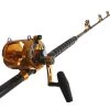 Okuma Makaira Gold 50WII Game Alps 2-Speed Fully Rollered Combo 5'8'' 24kg 1pc -Hot Sale Fishing Store com11ok092 2 1 1