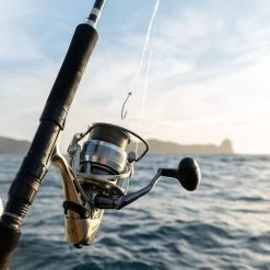 Okuma Coronado CDX 60 SkullDragger GP Boat Combo 7ft 10-15kg 1pc -Hot Sale Fishing Store okuma coronado 6