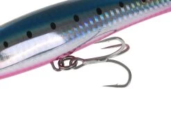 Shimano Coltsniper Rock Dive Stickbait 160mm 65g -Hot Sale Fishing Store ot160p02t 5 1